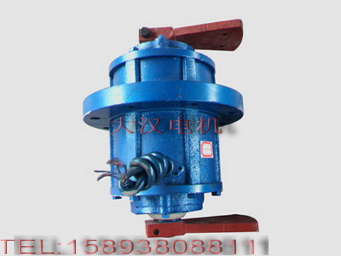 0.75KW振動電機 0.75KW振動電機